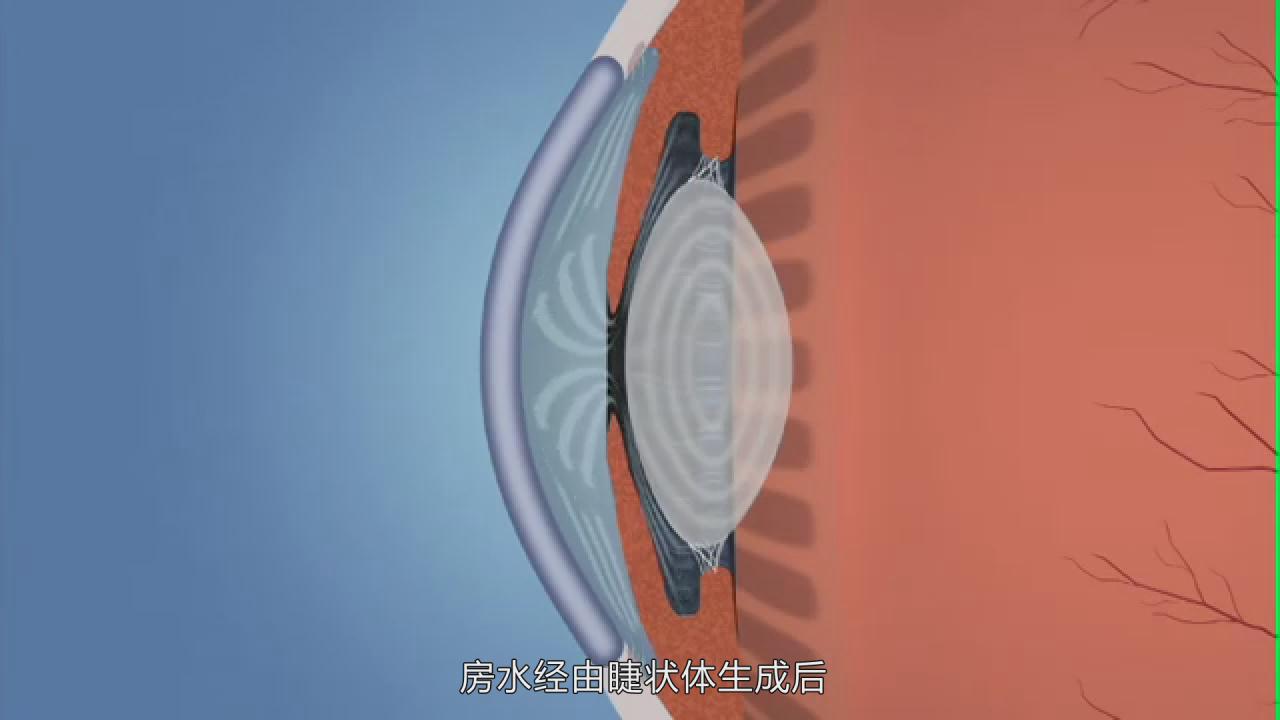 &#20061;&#28216;&#23448;&#26041;&#32593;&#39029;&#29256;&#45;&#20061;&#28216;&#40;&#20013;&#22269;&#41;